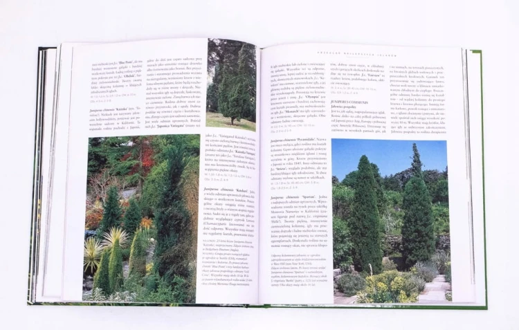 KSIĄŻKA IGLAKI - PIELĘGNACJA I ROZMNAŻANIE 2001