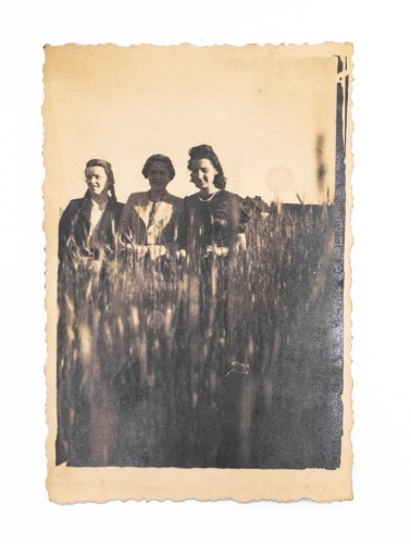 STARA FOTOGRAFIA - KOBIETY NA POLU, KOBYLIN 1943
