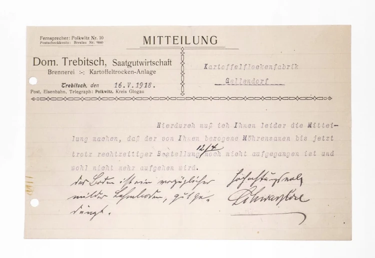 STARE PISMO - PRZEMYSŁ ZIEMNIACZANY, TRZEBCZ / POLKOWICE / SKOKOWA 1918