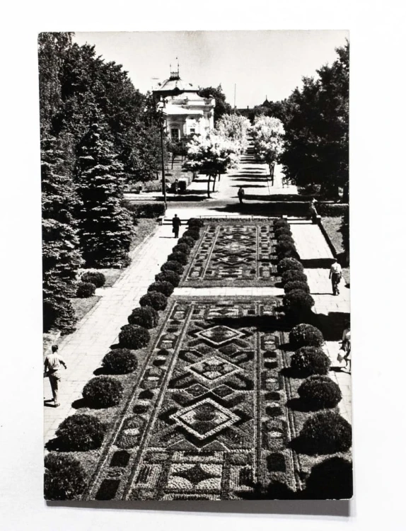 CIECHOCINEK - DYWAN KWIATOWY 1968