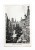 GDAŃSK - ULICA MARIACKA 1906