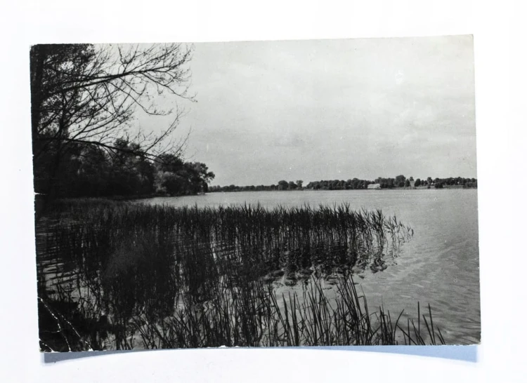 ROGOŹNO - JEZIORO 1967