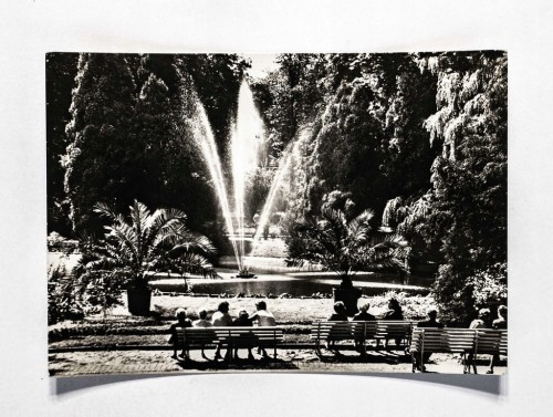 POLANICA ZDRÓJ - PARK ZDROJOWY l. 60