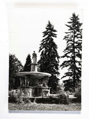 TARNÓW - PARK l. 60
