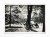 SZCZAWNO ZDRÓJ - PARK 1953