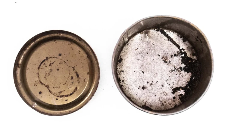 STARA PUSZKA LANDRYNY GOPLANA POZNAŃ