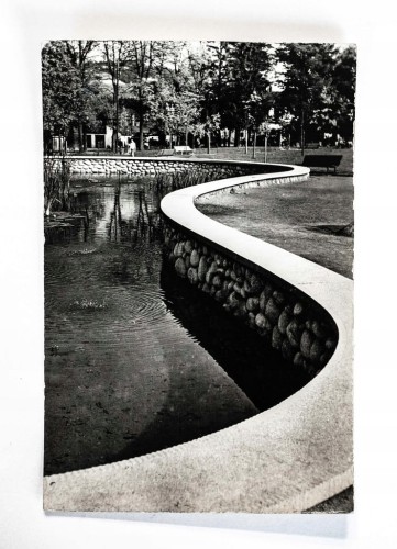 RABKA ZDRÓJ - PARK, STAW l. 60