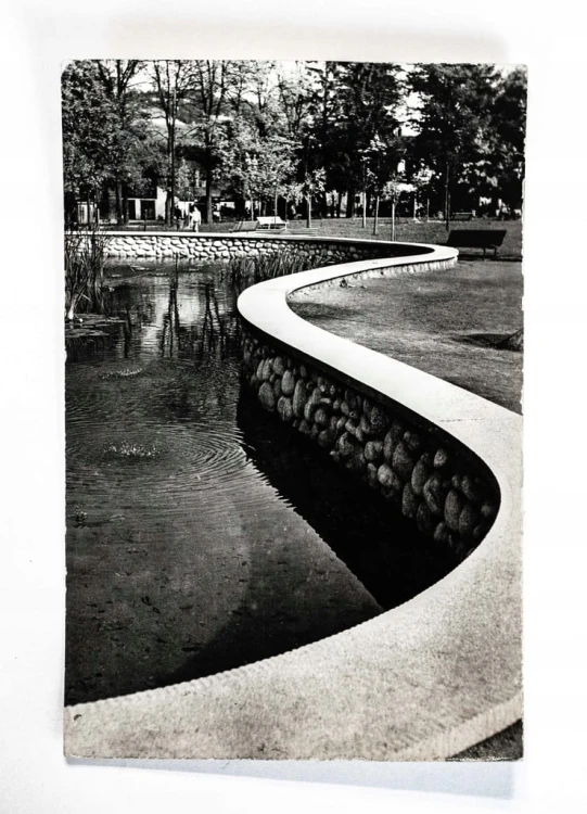 RABKA ZDRÓJ - PARK, STAW l. 60