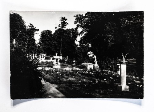 ŁAŃCUT - PARK ZAMKOWY, OGRÓD RÓŻANY 1966