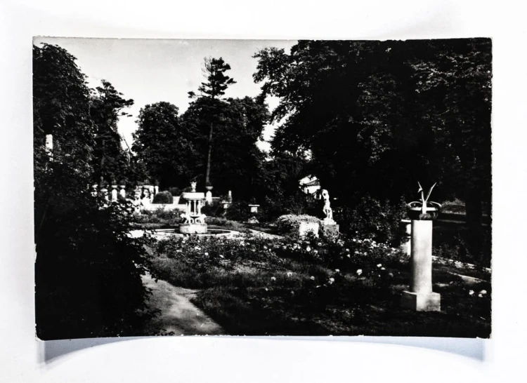 ŁAŃCUT - PARK ZAMKOWY, OGRÓD RÓŻANY 1966